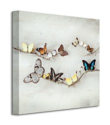 Array Of Butterflies - Obraz WDC95184