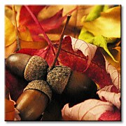 Jesenné žalude  - Obraz CKS0017