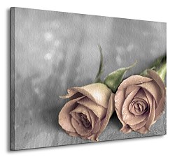 Roses BW - Obraz CS0205