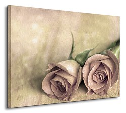 Roses - Obraz CS0185