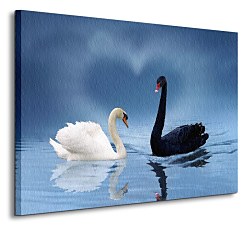 Love is in the air - Obraz  CS0301