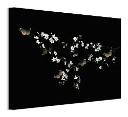 Blossom, Butterflies - Obraz WDC44729