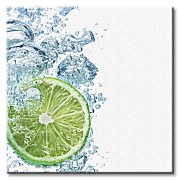 Limetka - Obraz CKS0569