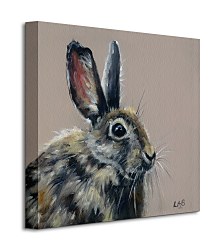 Bright Eyes - Obraz WDC95268