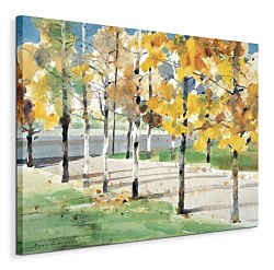 Autumn Trees - Obraz WDC44810