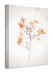 Najkrajší obraz na stenu - Frozen dried hydrangeas in ice Shaffer Evie CAA3711