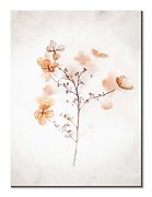 Najkrajší obraz na stenu - Frozen dried hydrangeas in ice Shaffer Evie CAA3711