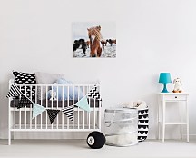 Obrazy Kone - Icelandic Horse Keller Brandan CAA3742