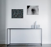 Obrazy kone Black eye CAA3749