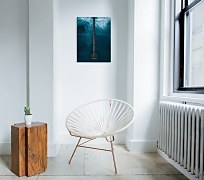 California Coast - obraz CAA3763