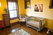 Switzerland horse - obraz Andres Raphael CAA3782