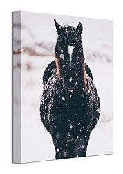 Obraz sneží v Llyn Brenig, United Kingdom - Tucker Thomas CAA3799