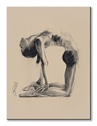 Camel Pose - Obraz WDC92641