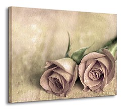 Roses - Obraz CD0185