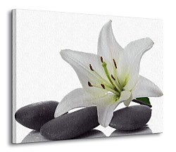 Biela ľalia, spa - Obraz CD0322