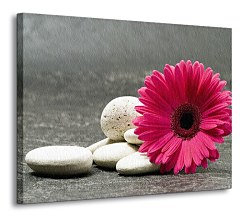 Gerber - Obraz  CD0481