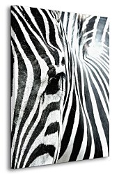 Zebra - Obraz na płótnie CD0550