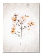 Najkrajší obraz na stenu - Frozen dried hydrangeas in ice CD3711