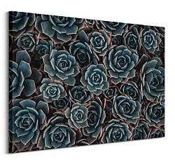 Kaktusy - obraz CD3727