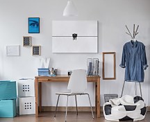 Black swallow - obraz CD3741