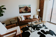 Obraz Kone s hrivou - obraz CD3785