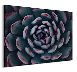 Israeli cactus - obraz Espanioly Yousef CD3792