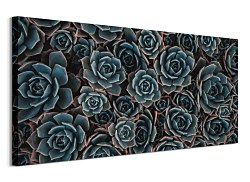 Obraz s kaktusmi, Harris Joshua CE3727