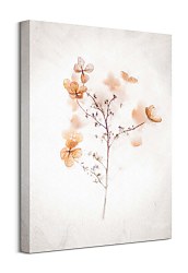 Najlacnejší obraz na stenu Frozen dried hydrangeas in ice  CHI3711