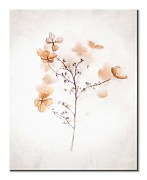 Najlacnejší obraz na stenu Frozen dried hydrangeas in ice  CHI3711