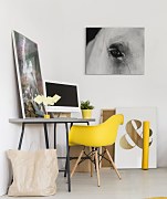 Black eye - obraz CHI3749