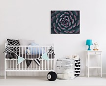 Espanioly Yousef obraz Israeli cactus CHI3792