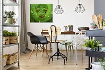 Kuranda Koala Gardens Snake - obraz Clode David CHI3796