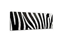 Čiernobiela panoráma Obrazy zs123