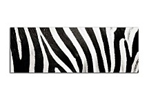 Čiernobiela panoráma Obrazy zs123