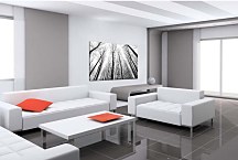 Čiernobiely obraz Stromy 29232