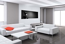 Moderný Čiernobiely obraz zs454