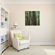 Crescent Woods - obraz CKM3725