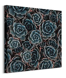 Obraz do interiéru Kaktusy, Harris Joshua CKM3727