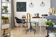 Obraz do interiéru Kaktusy, Harris Joshua CKM3727