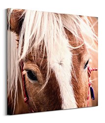 Obraz Švajčiarsky kôň - Andres Raphael CKM3782