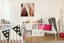 Obraz Švajčiarsky kôň - Andres Raphael CKM3782