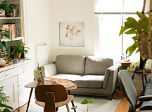 Naj obraz - Frozen dried hydrangeas in ice CKS3711