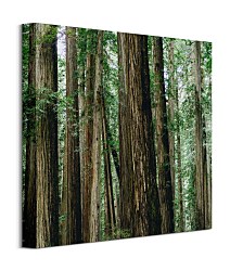 Nový obraz do interiéru Gold Dan - Crescent Woods CKS3725