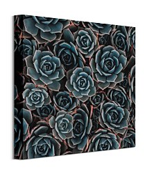 Kaktusy - obraz CKS3727