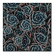 Kaktusy - obraz CKS3727