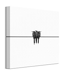 Obraz Čierne lastovičky CKS3741