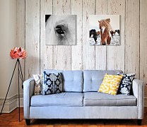 Obraz na plátne Oko bieleho koňa CKS3749