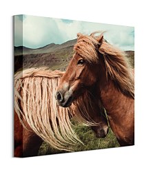 Foto obraz Horses with mane - Keller Brandan CKS3785