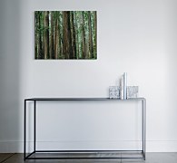 Nový obraz do obývačky - Crescent Woods, Gold Dan CS3725