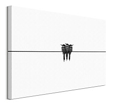 Black swallow - obraz CS3741